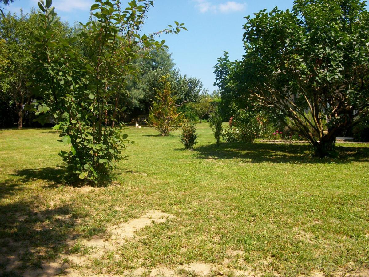 Domaine De Monein Bed and Breakfast Saint-André-de-Cubzac Buitenkant foto