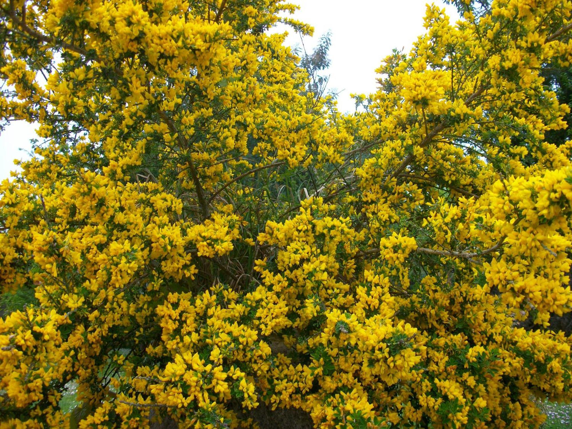 Domaine De Monein Bed and Breakfast Saint-André-de-Cubzac Buitenkant foto